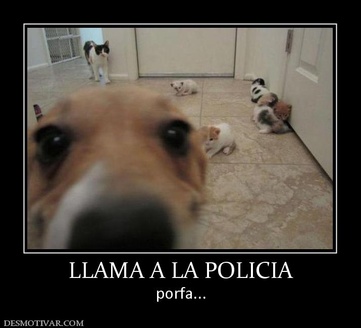 LLAMA A LA POLICIA porfa...