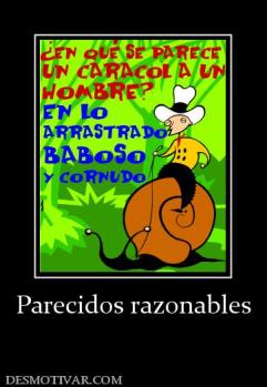 Parecidos razonables