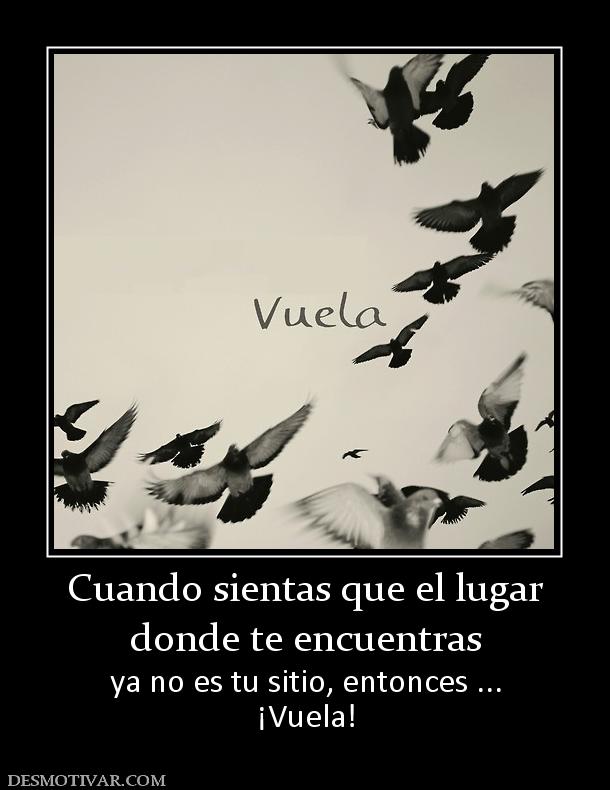 Cuando sientas que el lugar donde te encuentras ya no es tu sitio, entonces ... ¡Vuela!