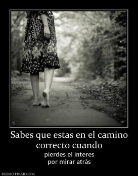 Sabes que estas en el camino correcto cuando  pierdes el interes por mirar atrás