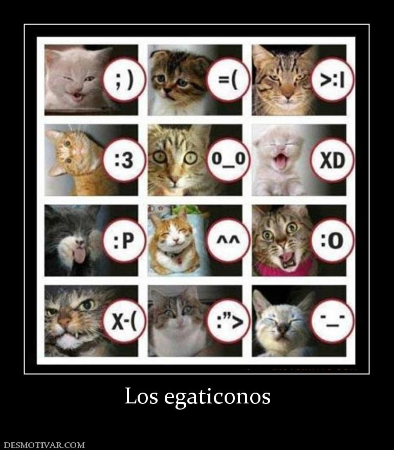 Los egaticonos