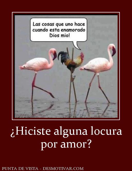 ¿Hiciste alguna locura por amor?