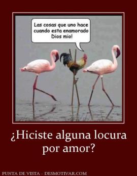 ¿Hiciste alguna locura por amor?