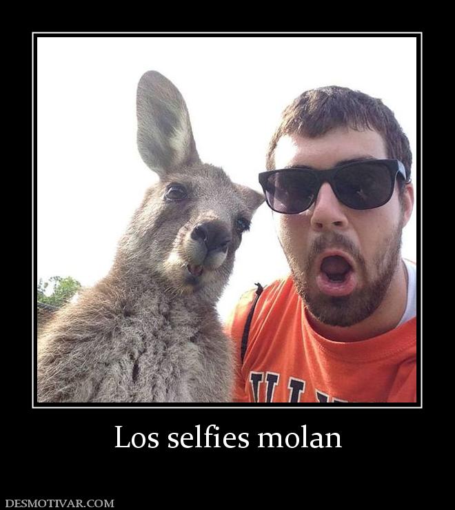 Los selfies molan