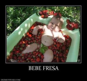 BEBE FRESA