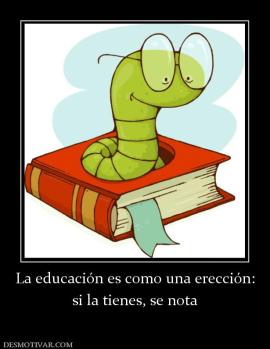 La educación es como una erección: si la tienes, se nota