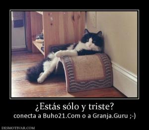 ¿Estás sólo y triste? conecta a Buho21.Com o a Granja.Guru ;-)