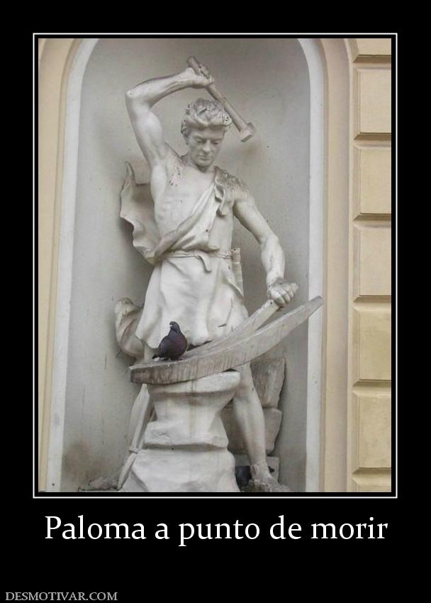 Paloma a punto de morir