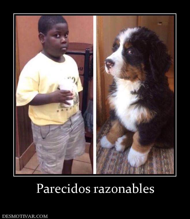 Parecidos razonables