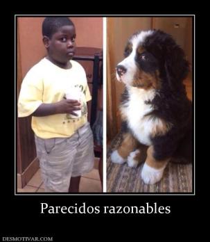 Parecidos razonables