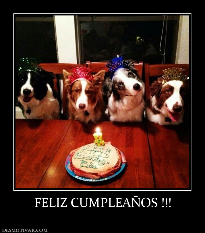 FELIZ CUMPLEAÑOS !!!
