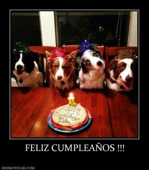 FELIZ CUMPLEAÑOS !!!