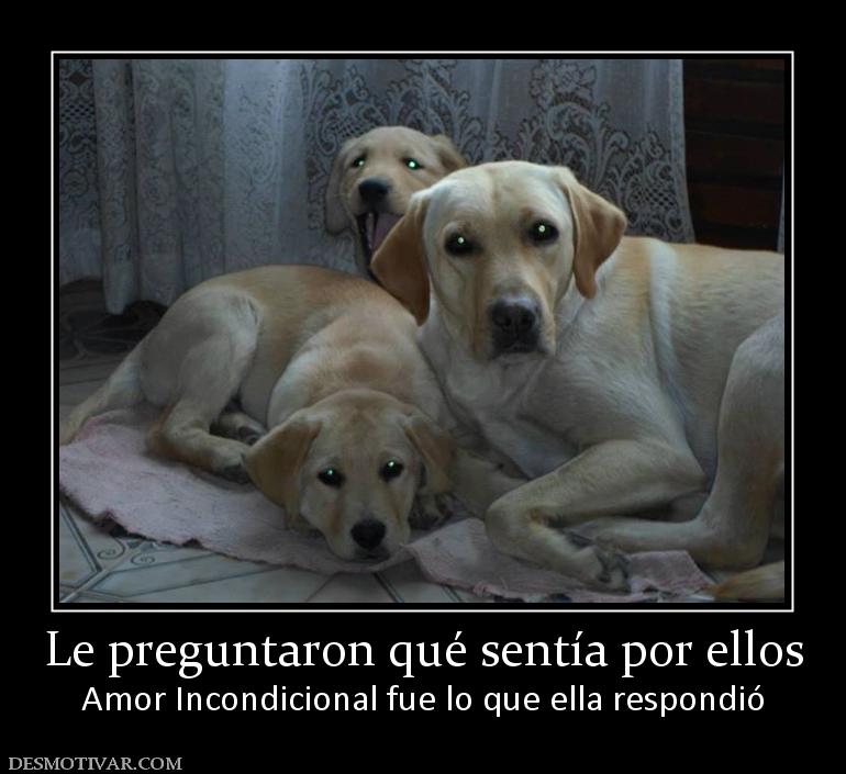 Le preguntaron qué sentía por ellos Amor Incondicional fue lo que ella respondió