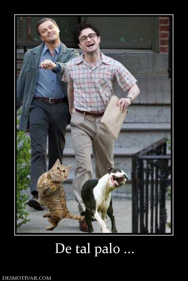 De tal palo ...