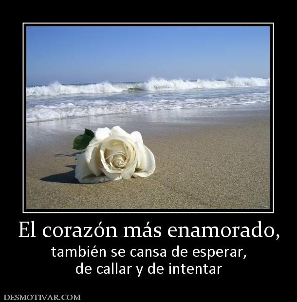 El corazón más enamorado, también se cansa de esperar, de callar y de intentar