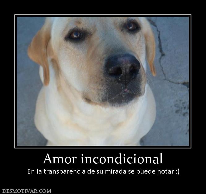 Amor incondicional En la transparencia de su mirada se puede notar :)