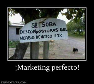 ¡Marketing perfecto!