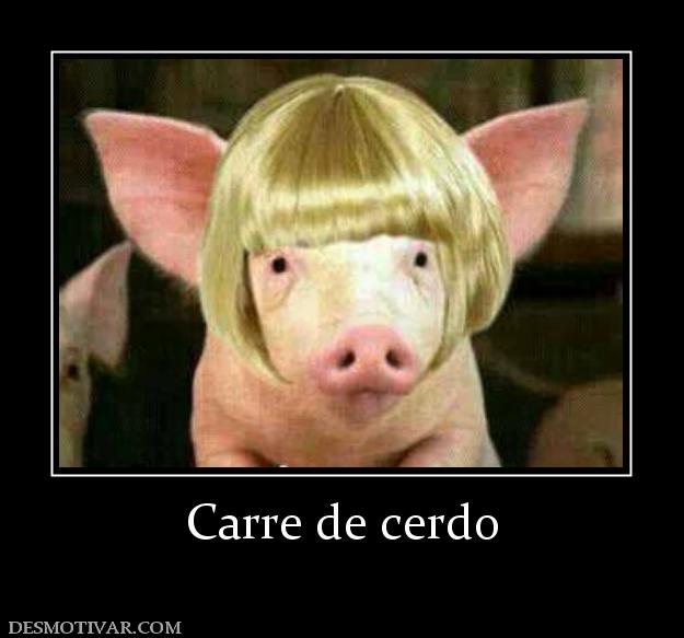 Carre de cerdo