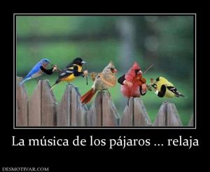 La música de los pájaros ... relaja