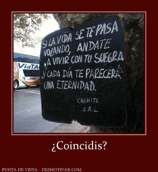¿Coincidis?