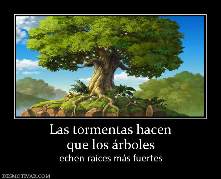 Las tormentas hacen que los árboles echen raices más fuertes
