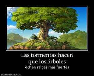 Las tormentas hacen que los árboles echen raices más fuertes