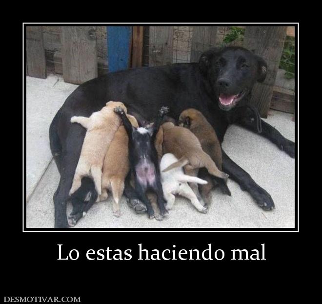 Lo estas haciendo mal