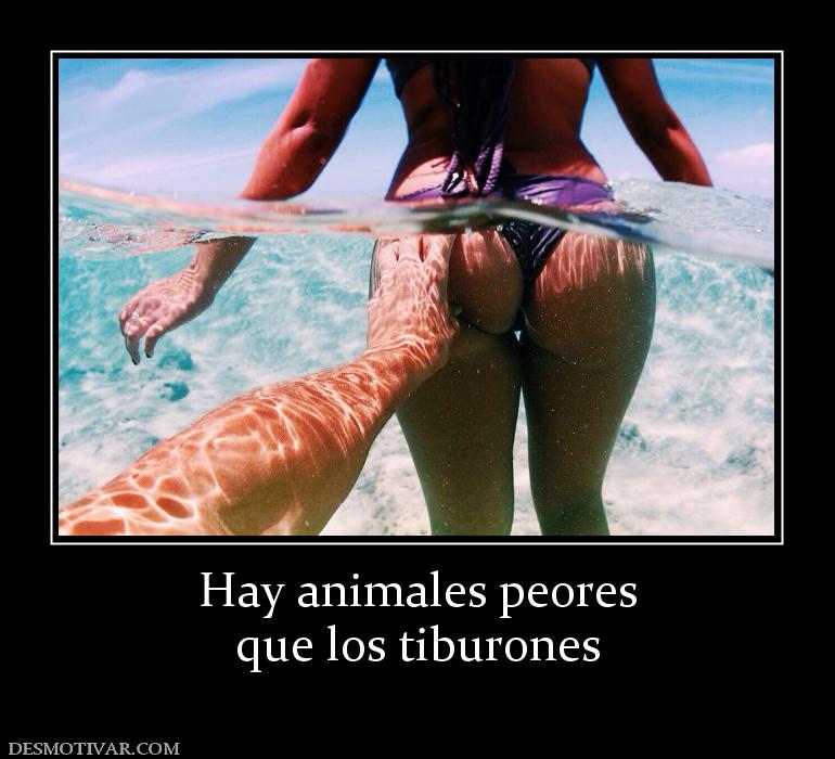 Hay animales peores que los tiburones