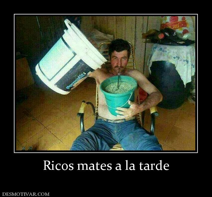 Ricos mates a la tarde