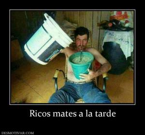 Ricos mates a la tarde
