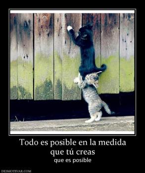 Todo es posible en la medida que tú creas que es posible