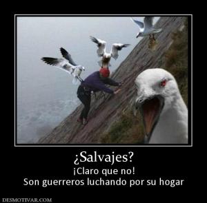 ¿Salvajes? ¡Claro que no! Son guerreros luchando por su hogar