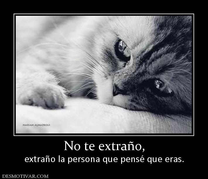 No te extraño, extraño la persona que pensé que eras.