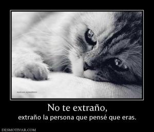 No te extraño, extraño la persona que pensé que eras.