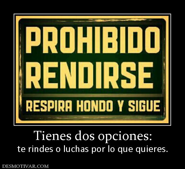 Tienes dos opciones: te rindes o luchas por lo que quieres.