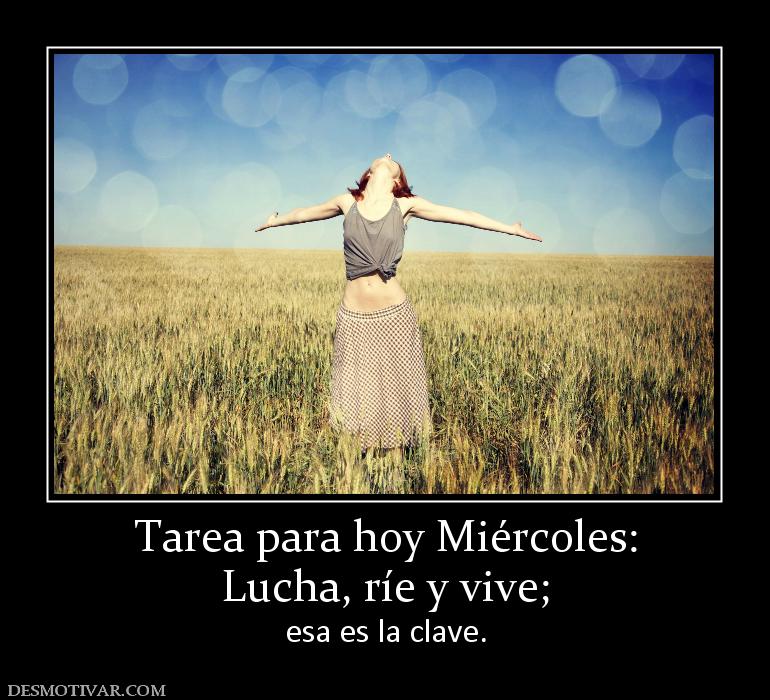 Tarea para hoy Miércoles: Lucha, ríe y vive; esa es la clave.