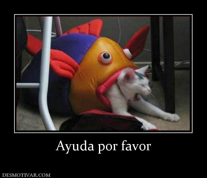Ayuda por favor