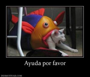 Ayuda por favor