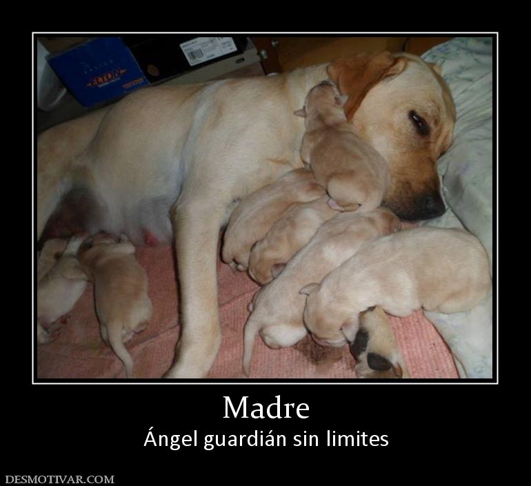 Madre Ángel guardián sin limites