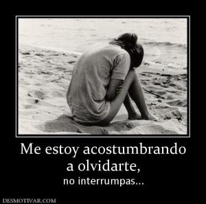 Me estoy acostumbrando a olvidarte, no interrumpas...