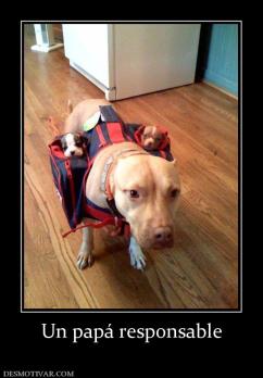 Un papá responsable