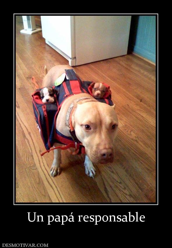Un papá responsable