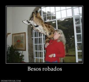 Besos robados