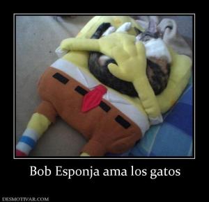 Bob Esponja ama los gatos