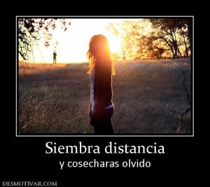 Siembra distancia y cosecharas olvido