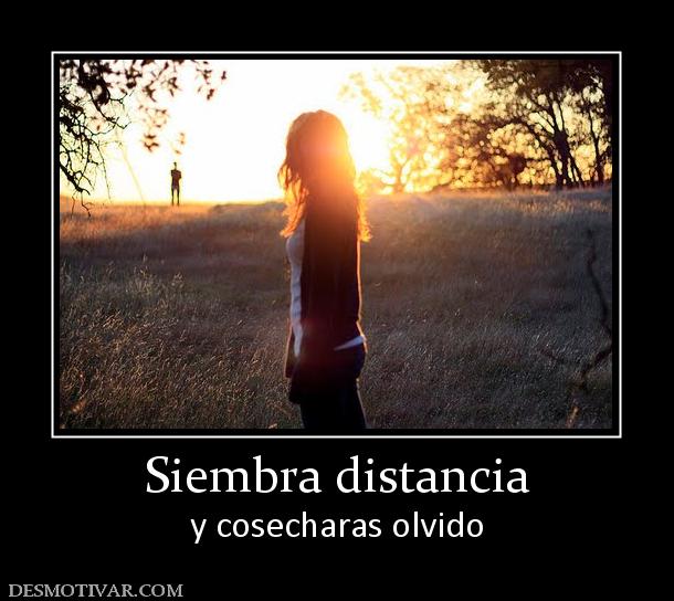 Siembra distancia y cosecharas olvido