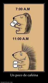 Un poco de cafeína