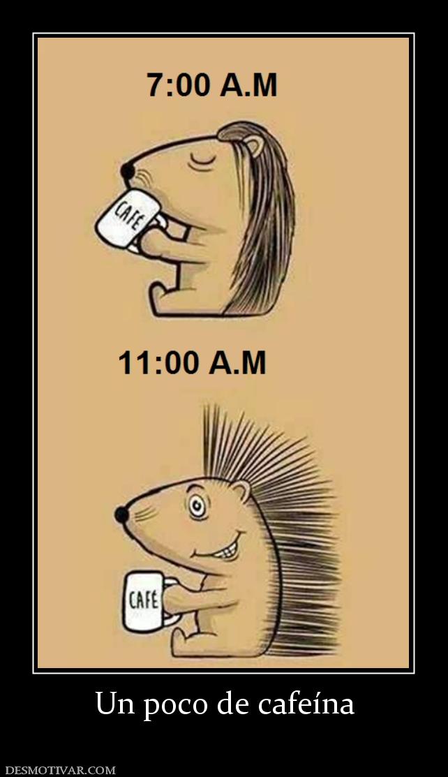 Un poco de cafeína
