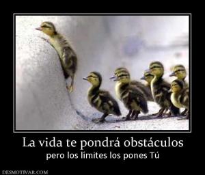 La vida te pondrá obstáculos pero los límites los pones Tú
