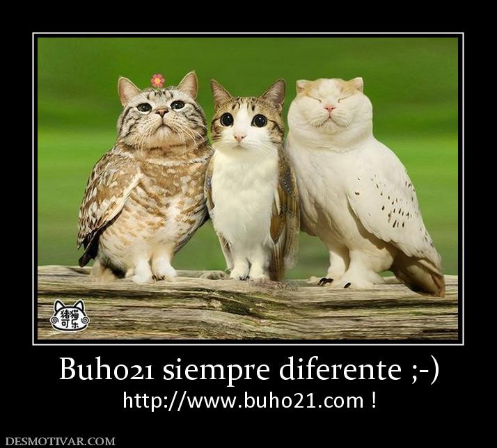 Buho21 siempre diferente ;-) http://www.buho21.org !